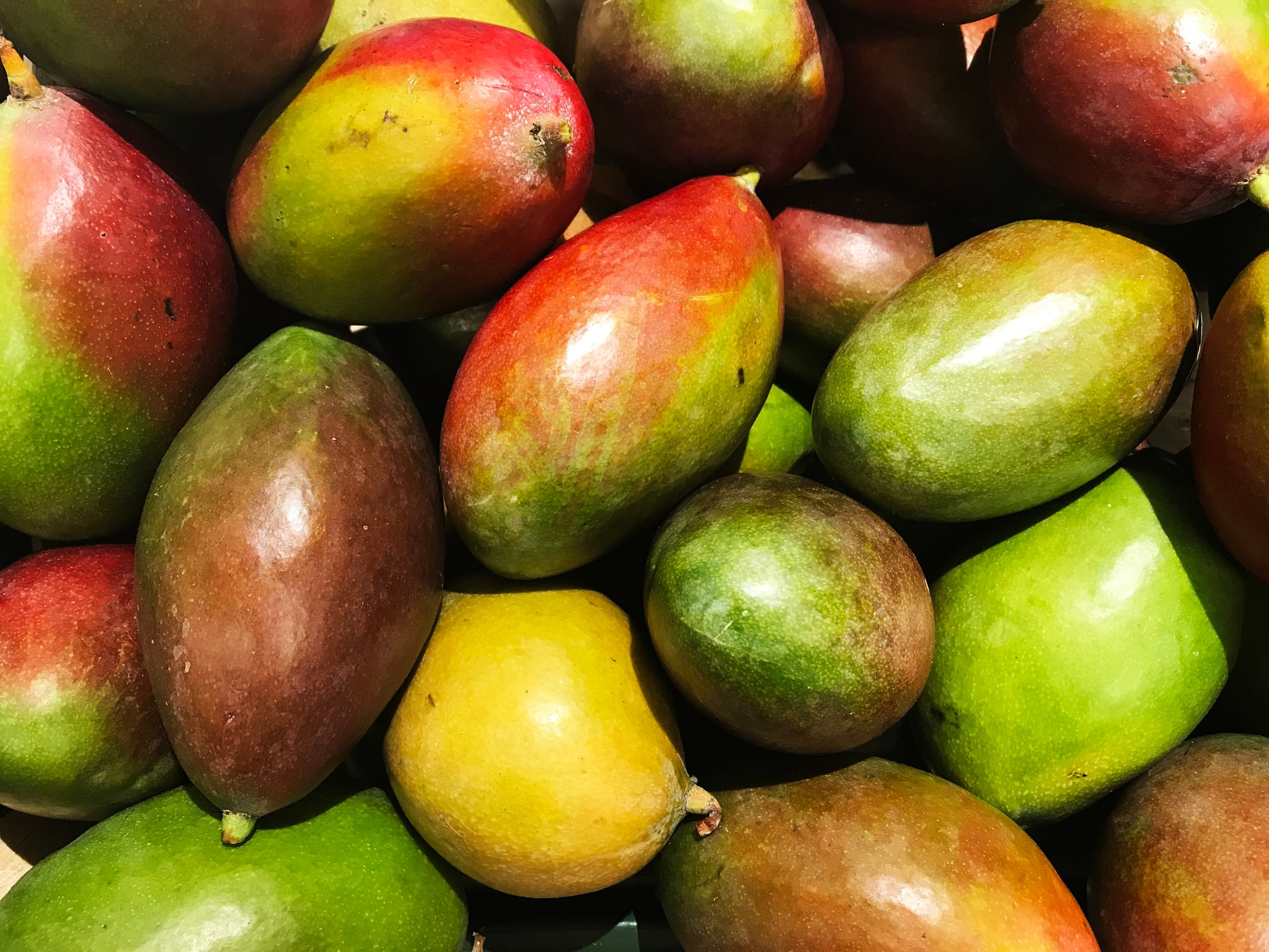 Functional fiber from upcycled mango seeds makes processed food healthier, says Mexico's Genius Foods