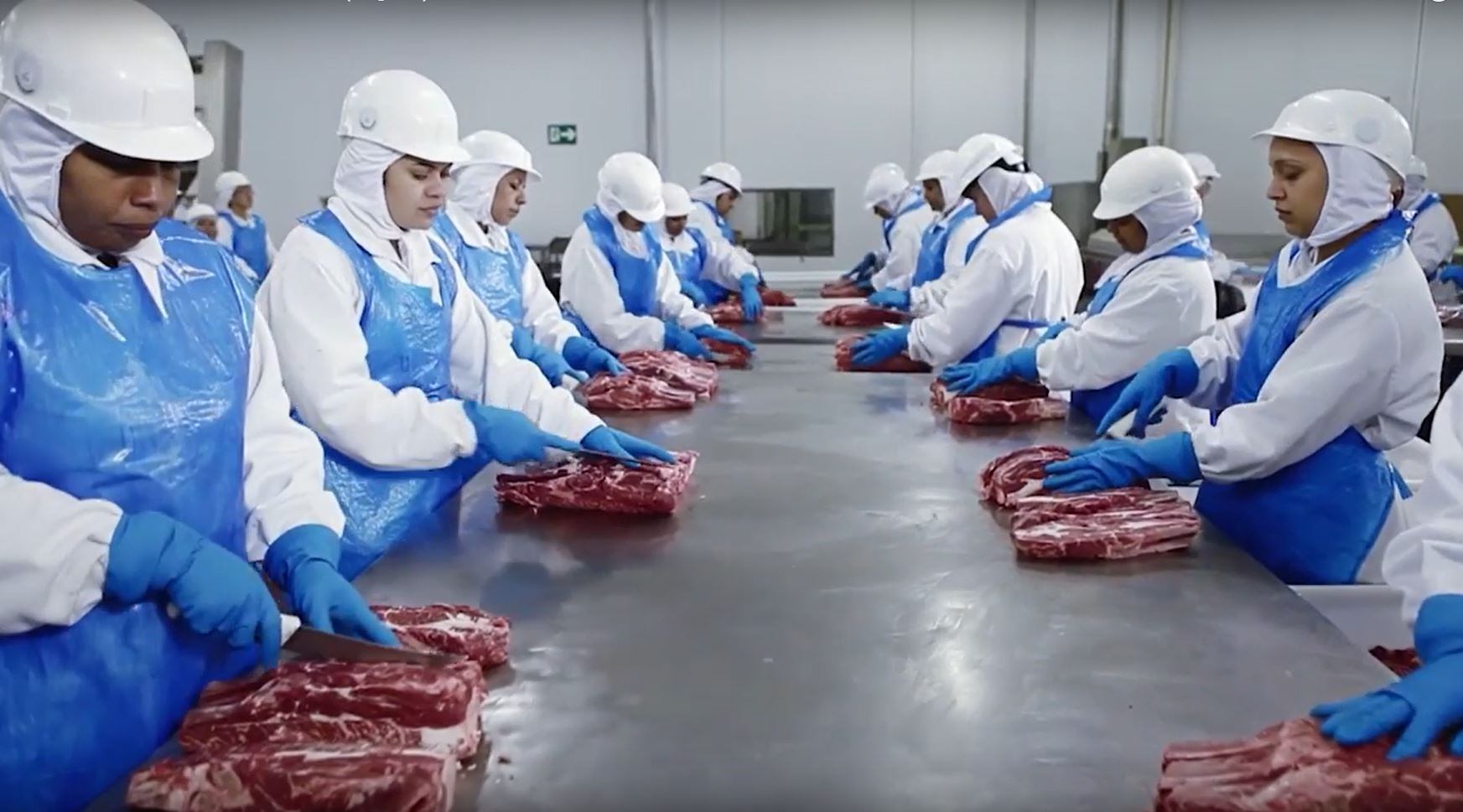 Marfrig hits record-high revenue and earnings in Q4 2019