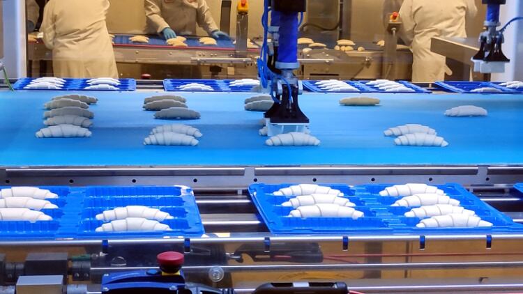 Robot placing croissant on baking line
