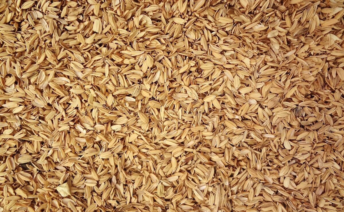 Argentinian Researchers Turning Rice Waste into Silica