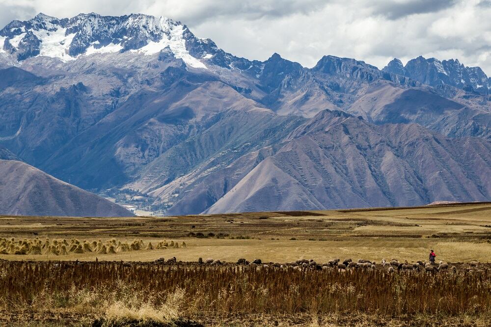 PepsiCo and CARE launch program to empower women farmers in Peru