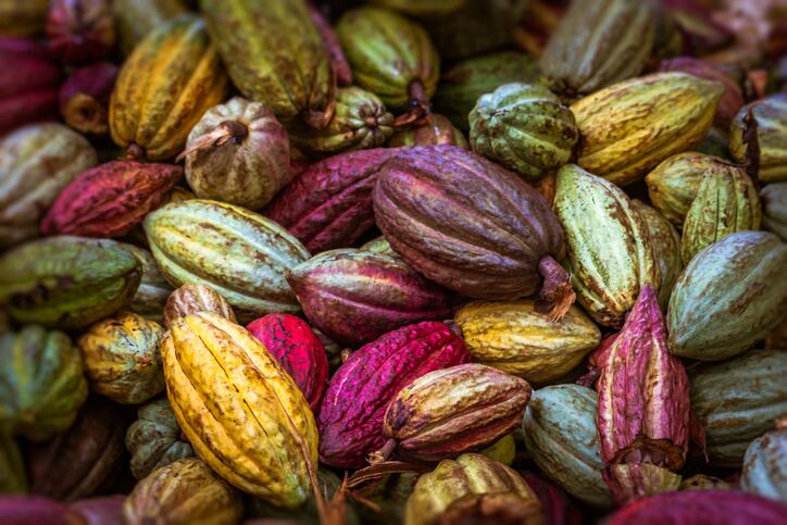 EU organic regulation could damage small-scale Latin American farmers, warns Fairtrade International