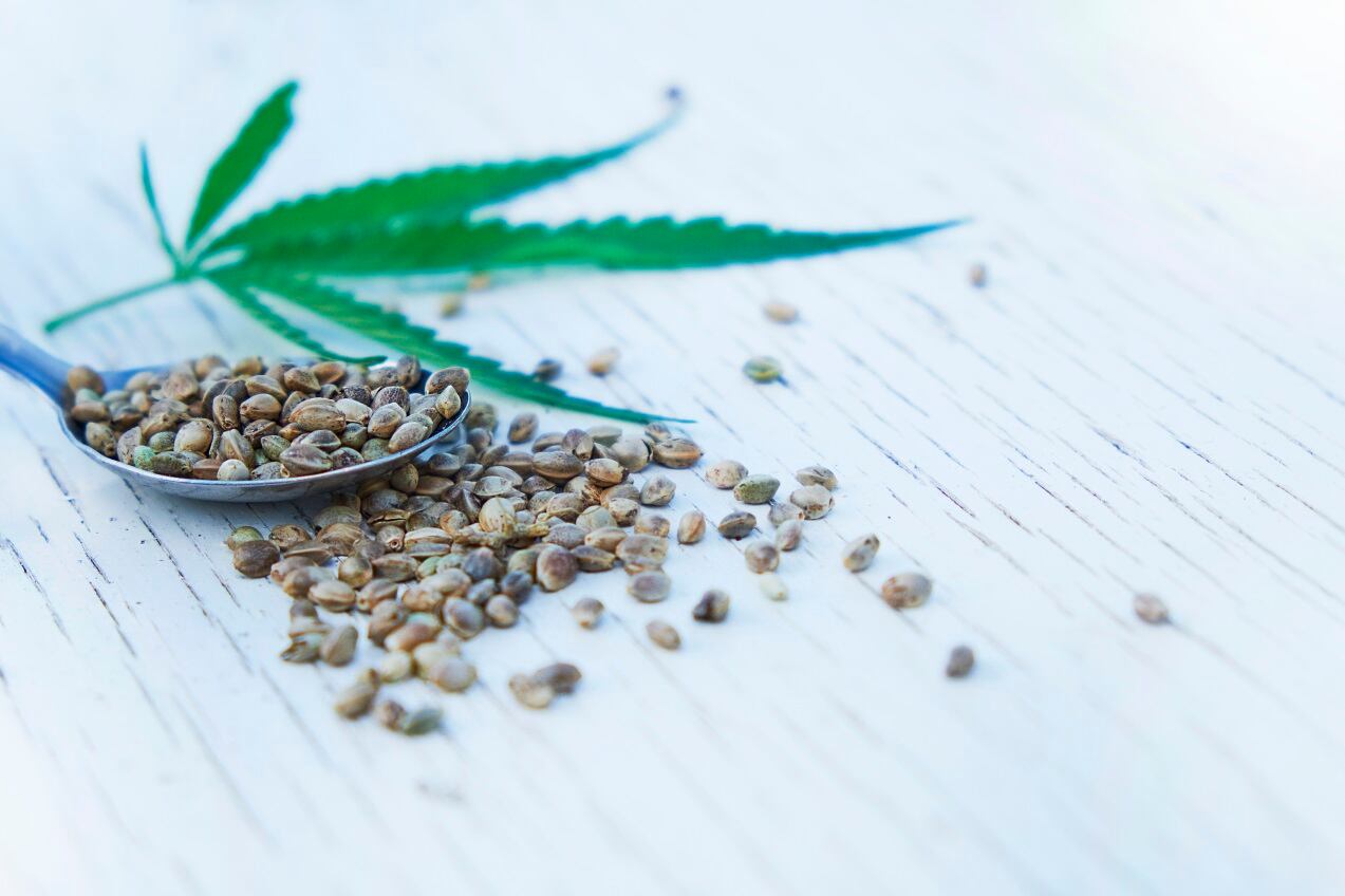 GettyImages-yavdat-hemp-seeds.jpg