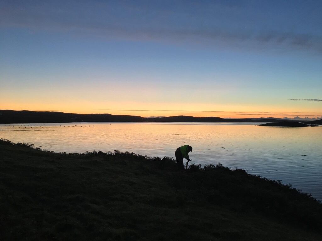 ‘A unique mix of health, nutrition, flavour and sustainability’: Univar Solutions seeks seaweed success with Seaweed & Co. tie-up 