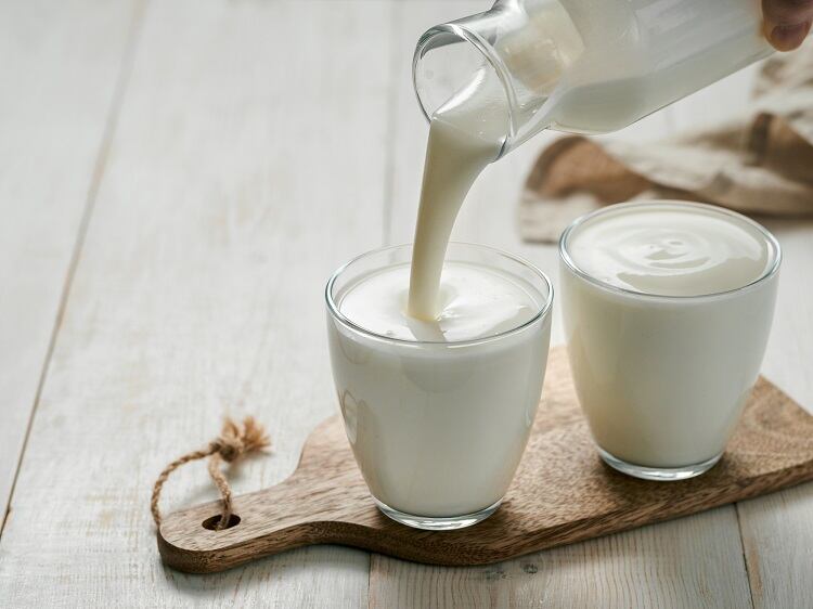 kefir-Fascinadora.jpg