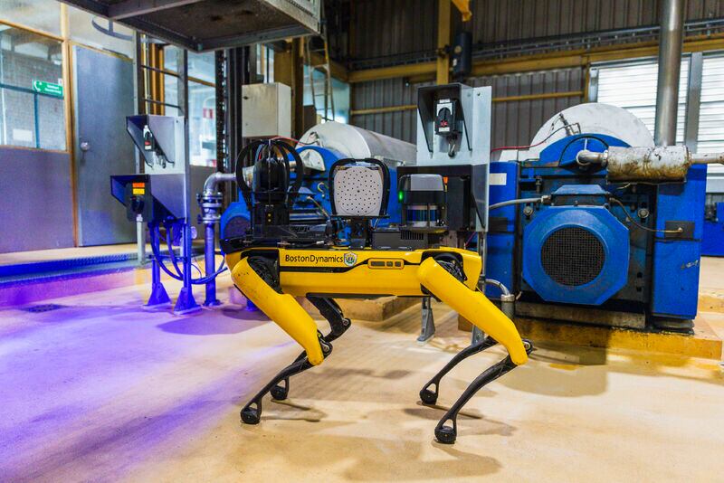 Meet Spot: Cargill’s new robotic watchdog