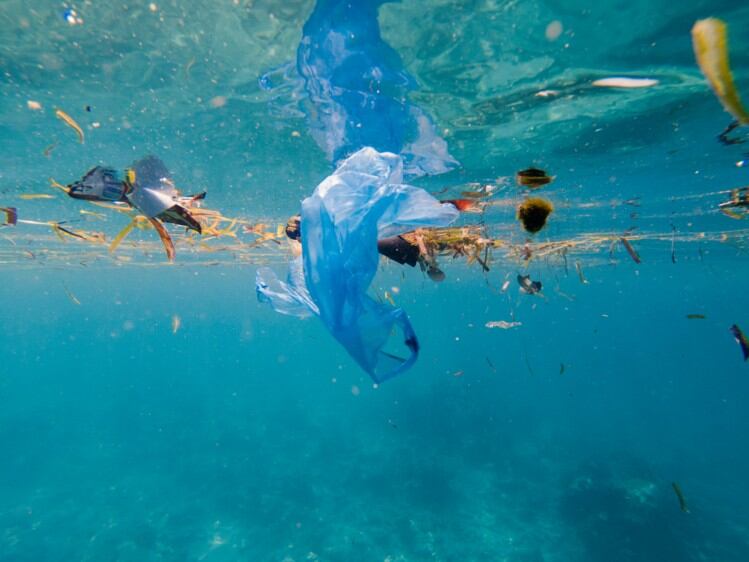 Mexico's New Plastic Economy