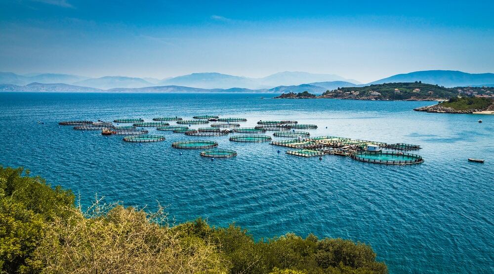 SGS Peru achieves ISO 17065 Accreditation