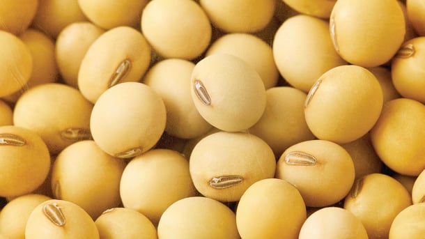 Sustainable soy: RTRS president talks LATAM supply, global demand & Uruguayan tax breaks 