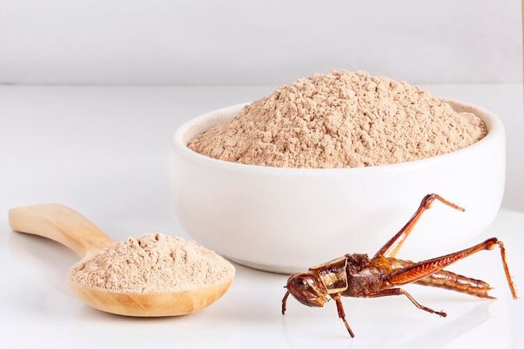Grasshopper powder