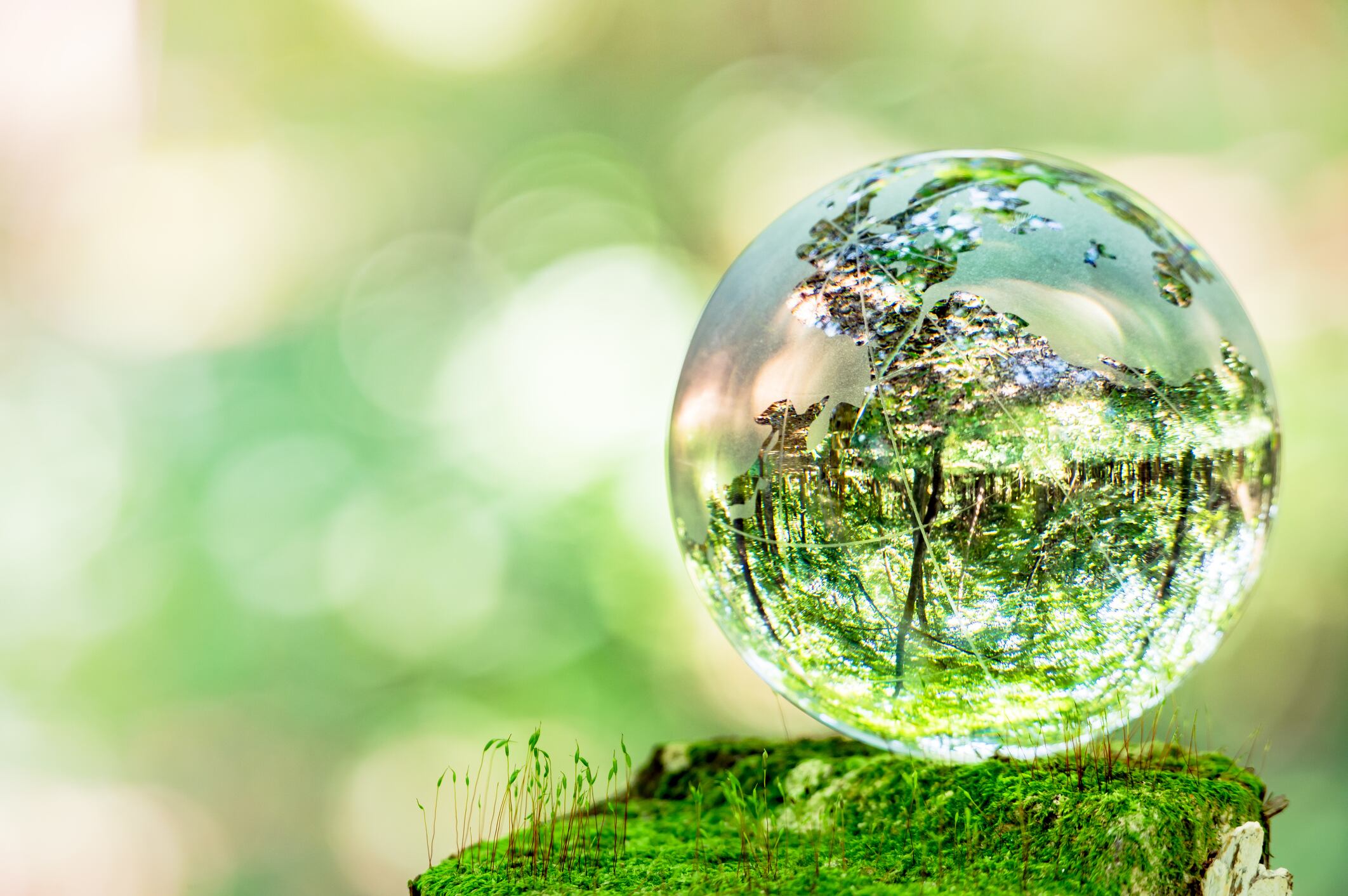 Latin America consumers have greatest environmental concerns globally
