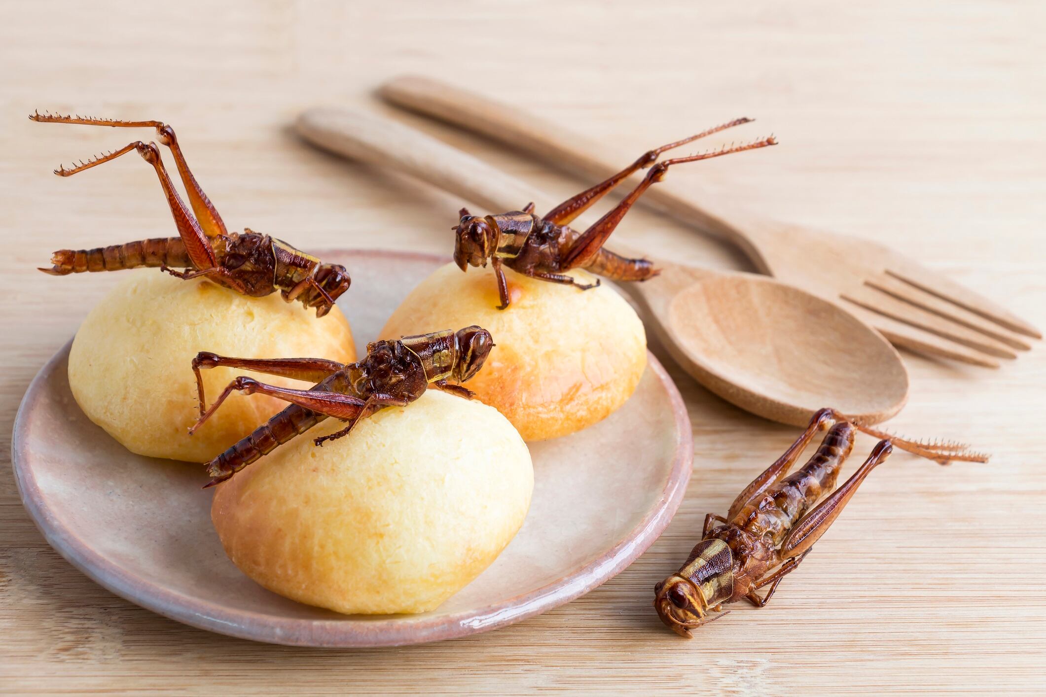 Rise of the fermented insect loaf: Mexico’s bold answer to the protein crisis