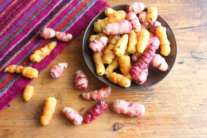 ‘A viable alternative to petrol-based packaging’: Study backs native Andean crops for bioplastic