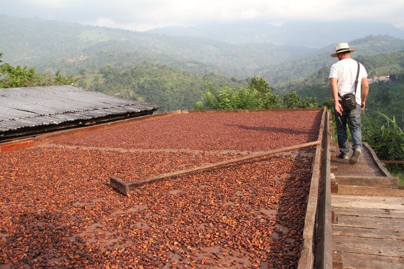 Focus on Cordillera Chocolates and Colombia’s Cacao for Peace initiative