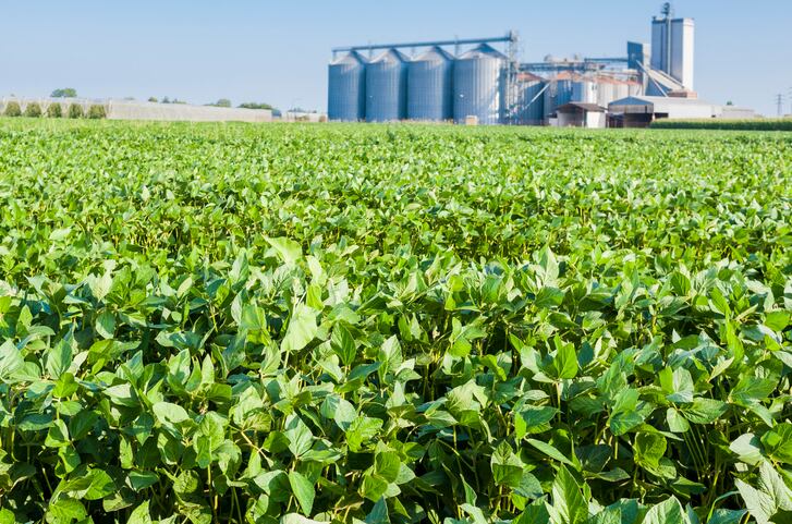 Argentinian soy giant Vicentin secures US$150m loan
