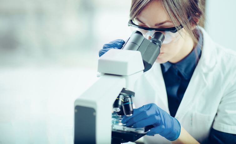 'A more positive scenario for biotech': Novozymes welcomes political boost for Brazil’s bioeconomy