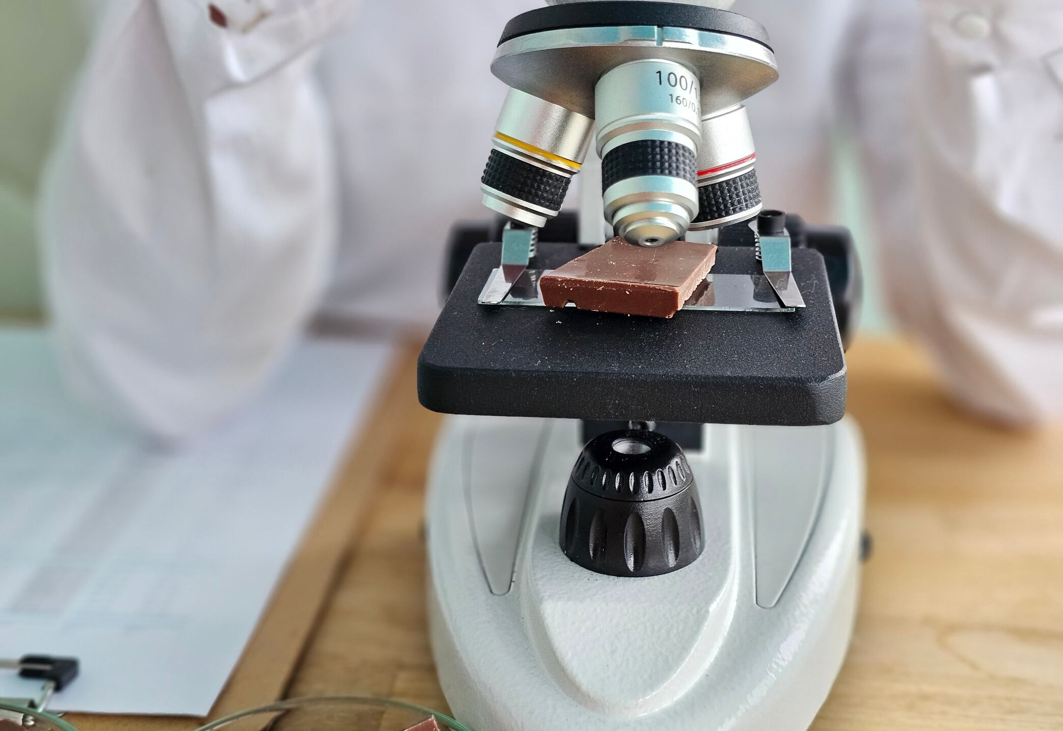 Chocolate without trees? The science racing to reinvent cocoa