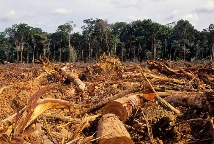 Deforestation: Lukewarm welcome for deal to protect Amazon