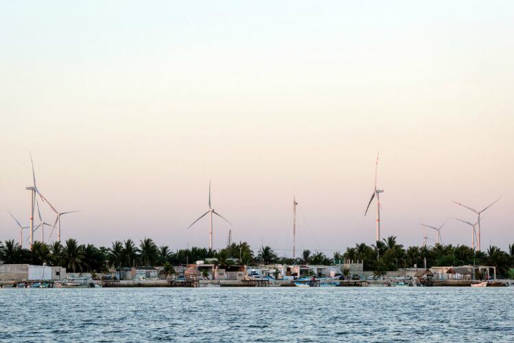 Mars, Inc. will transition to 100% renewable energy in Mexico, reducing carbon footprint by 40%