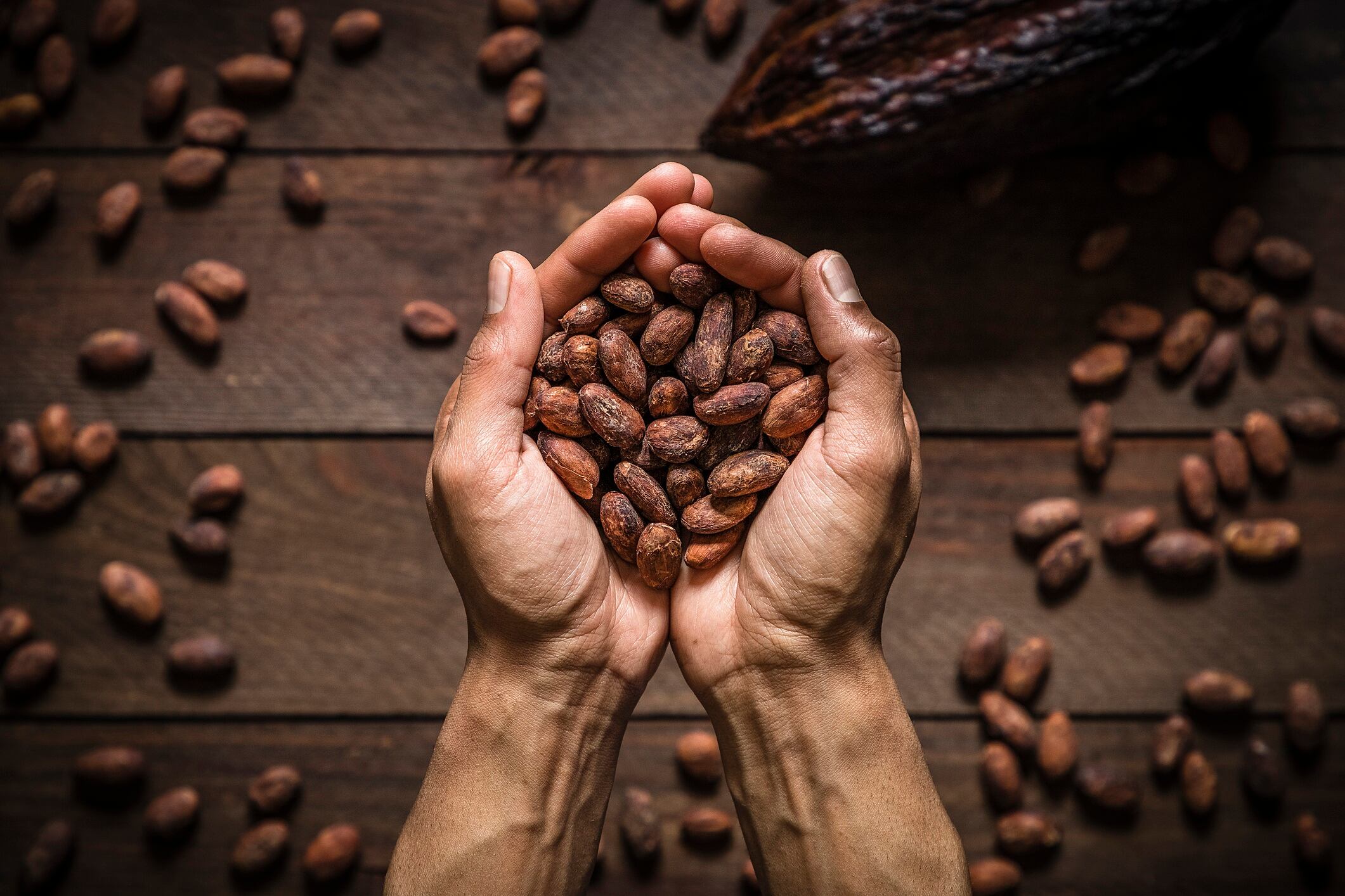 How the industry’s biggest player is securing cocoa’s future