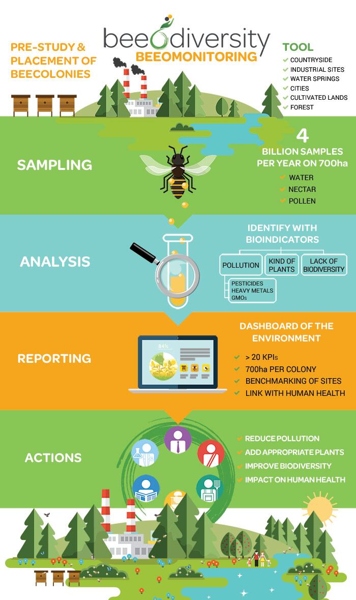 Beeomonitoring-beeodiversity.jpg