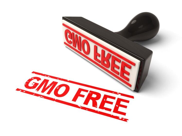 There is Argentinian appetite for non-GMO foods, says study