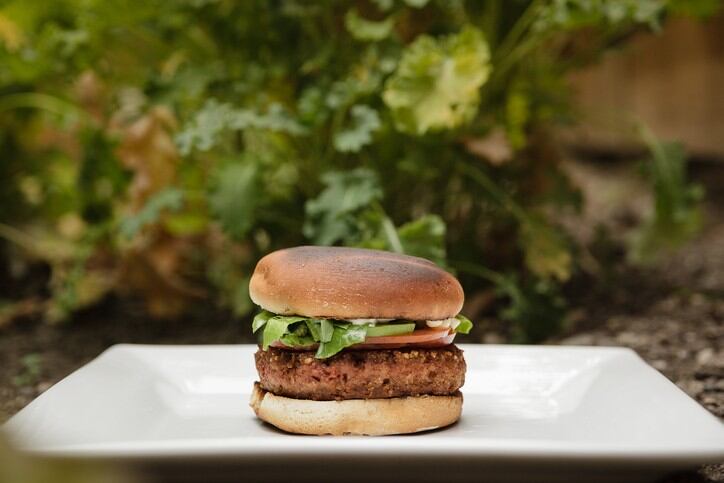 ‘A new phase for South America’: Brazil’s R&S Blumos invests $5.5m in plant protein