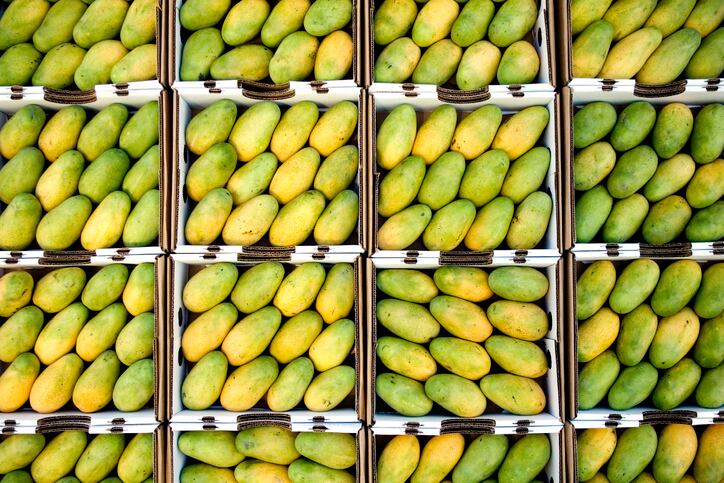 Mexifruta expands to Costa Rica with US$20m plant