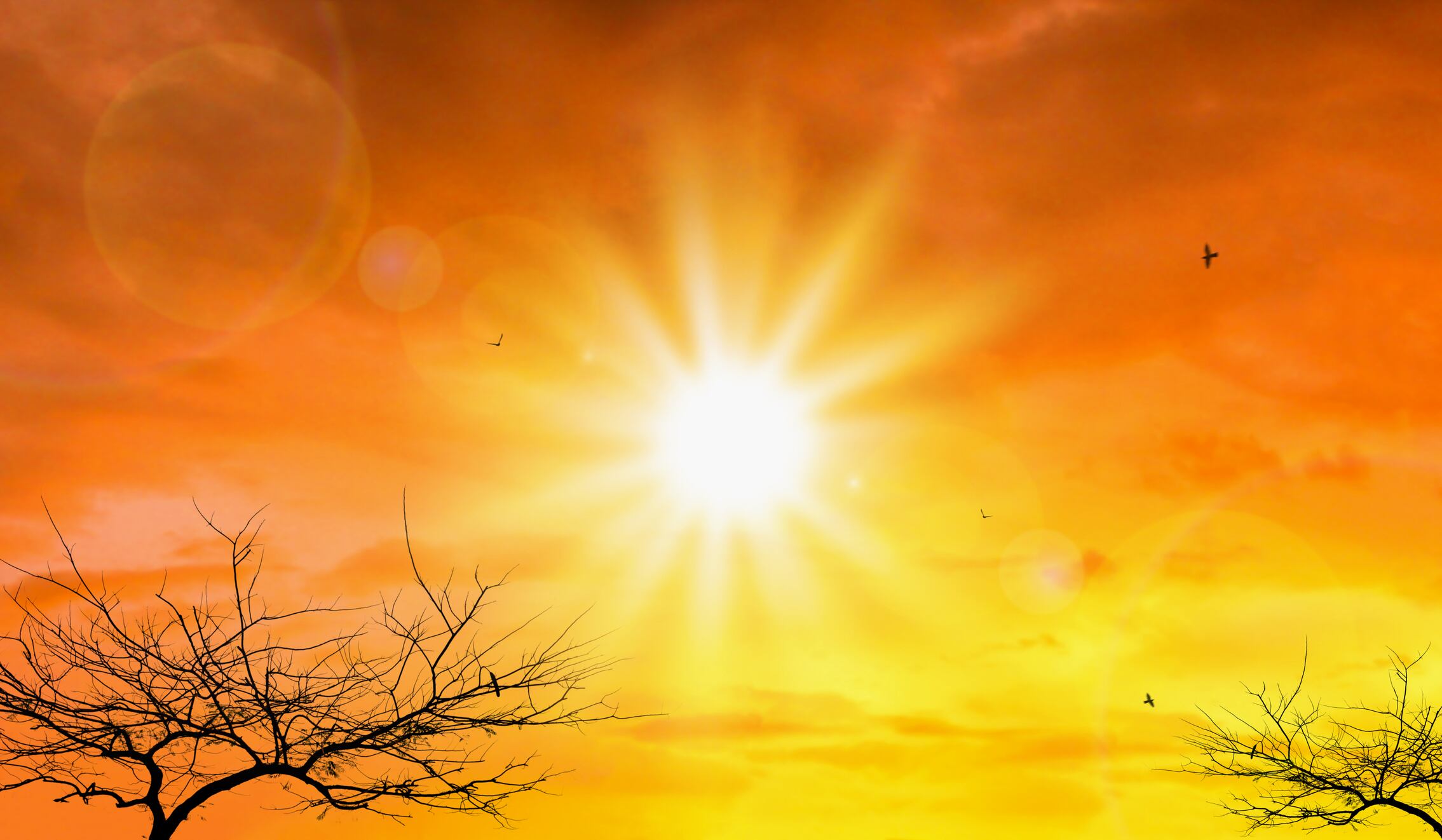 Heat wave of extreme sun and sky background. Hot weather with global warming concept. Temperature of Summer season.
