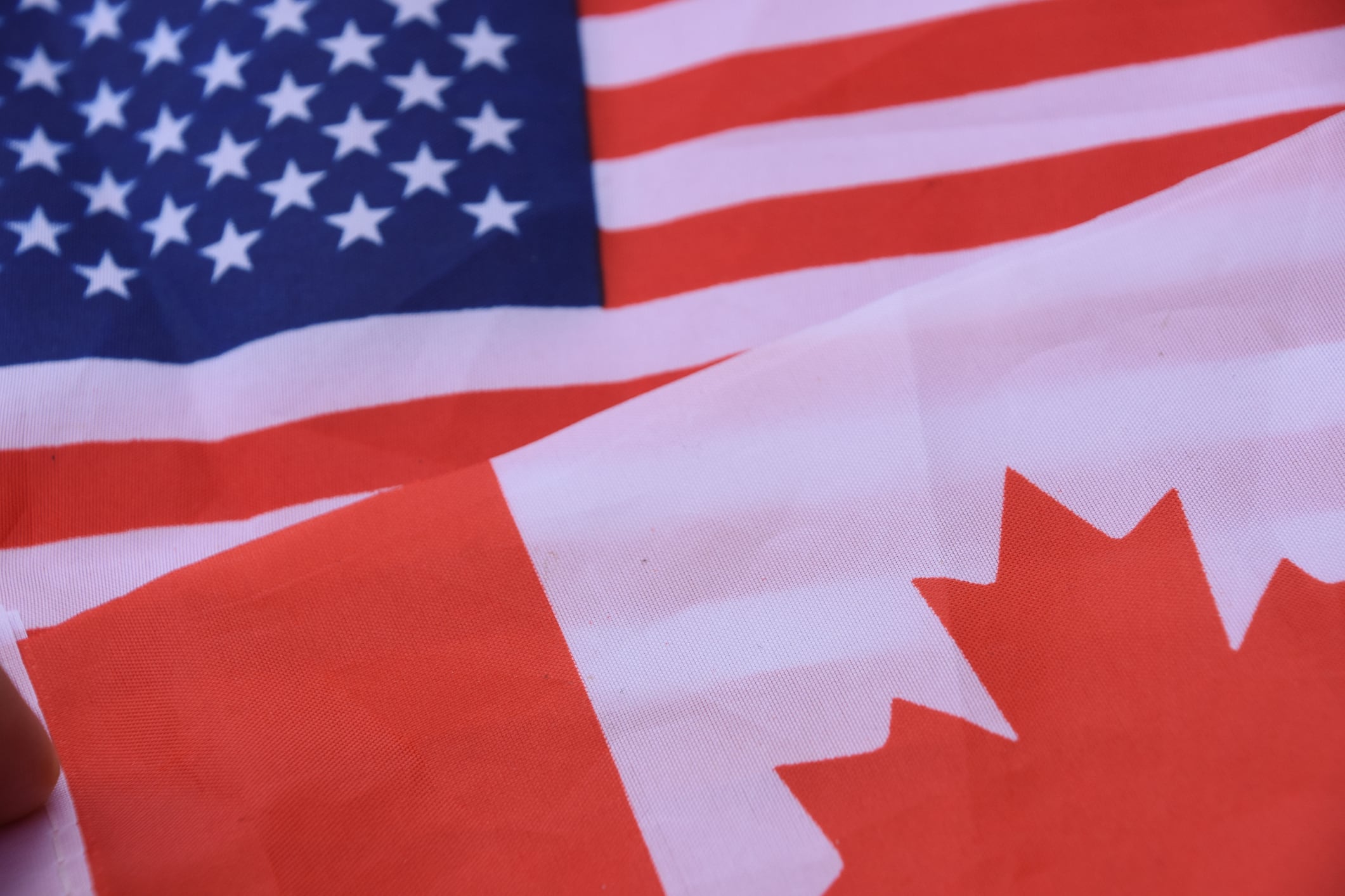 ‘A provocative move’: Canada passes bill to protect dairy in trade talks
