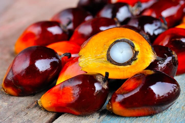 Brazil’s Agropalma sees benefits of palm oil refinery investment