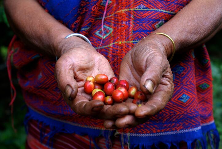 Ethical and sustainable claims: How to drive consumer engagement in Latin America
