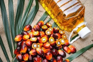 Palm oil 2 © Getty Images slpu9945