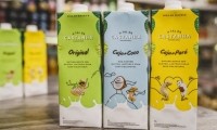 atal-da-castanha Brazilian dairy free milk