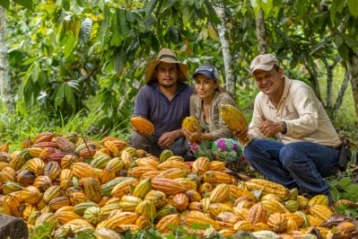 Approximately  95% of Colombia’s cacao exports are classed as ‘Fine Flavour’ by the International Cacao Organisation. Pic: FEDECACAO