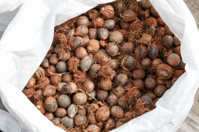Murumuru nuts are native to the Amazon and are a popular ingredient in premium cosmetic products. © GettyImages/Paralaxis
