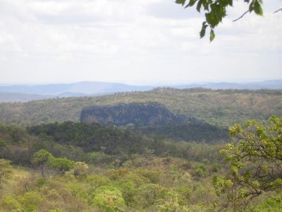 The cerrado is a vast tropical savanna ecoregion of Brazil, particularly in the states of Goiás, Mato Grosso do Sul, Mato Grosso, Tocantins and Minas Gerais. Photo: Denis A. C. Conrado / Wikimedia Commons