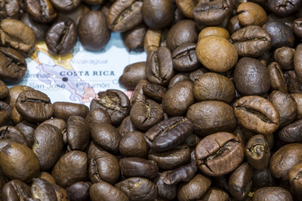 coffee beans and map of costa rica,MattiaATH