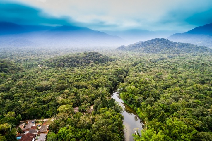 "The Amazon pantry is bursting with potential," says Cumari, "and savoring the products of the rainforest can help save it.' © GettyImages/GustavoFrazao