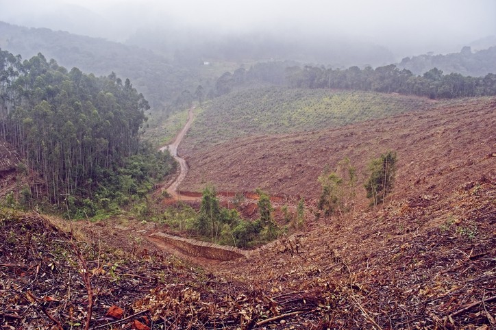 Deforestation in Brazil. © GettyImages/Eduardo Frederiksen