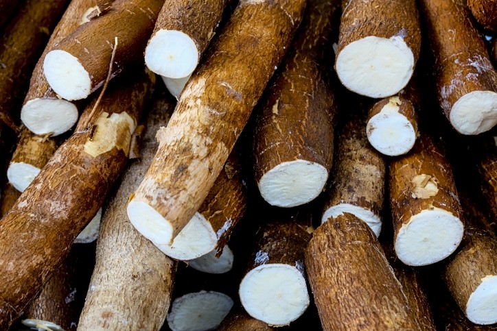 Native to Brazil, cassava is also known as manioc and yuca.   © GettyImages/Julio Rico