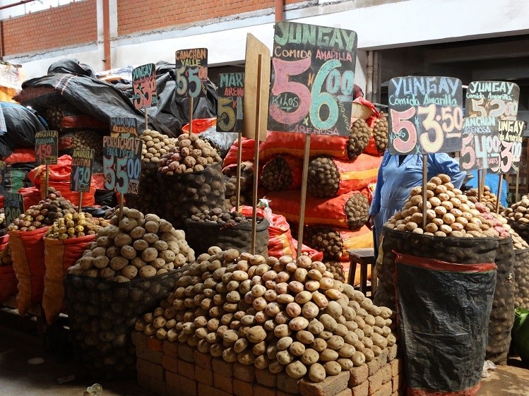 Potatoes for sale in a market in Peru. While Chile, Mexico, and a handful of other countries in the region have policies focused on combating obesity, policies in Peru and some Central American countries are focused on combating hunger. Getty Images / Lorena Galvez