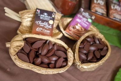 The plan includes promoting Costa Rican cocoa in international markets as a fine, gourmet, product