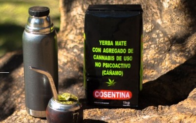 CBD and yerba mate could be a popular pairing in South America, said Euromonitor analyst Zora Milenkovic. © BCBD Medicinal