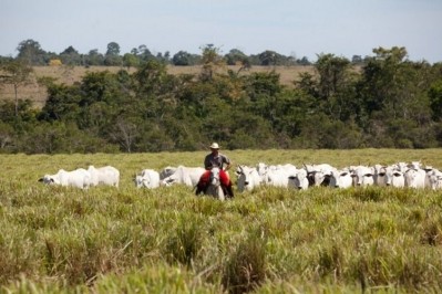 Brazilian beef exports to China halted due to BSE 