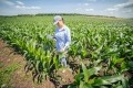 The new Corn Standard is available to all producers certified under the RTRS Standard for Soy Production. GettyImages/Daniel Balakov