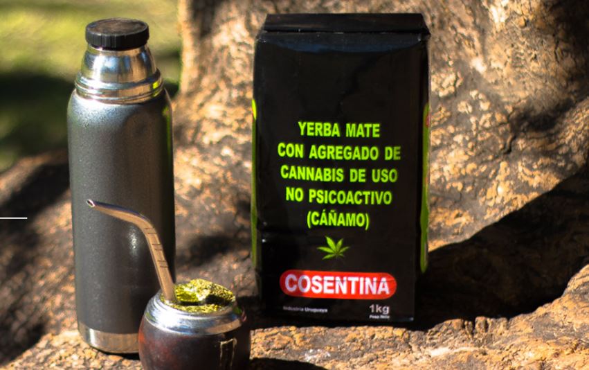 CBD yerba mate from Uruguay adds calm to caffeine