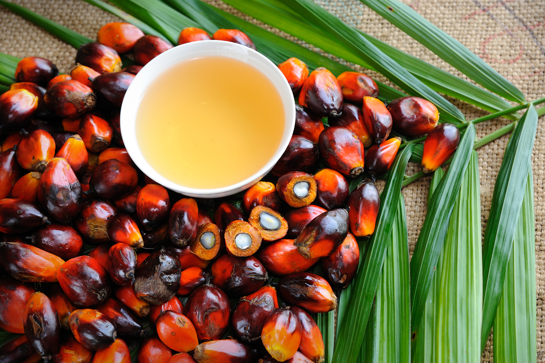 Cargill suspends business with Guatemalan palm oil supplier